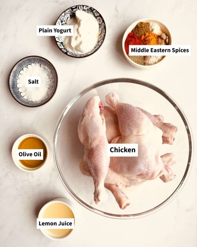 Ingredients for yogurt marinated chicken laid out on kitchen counter before cooking